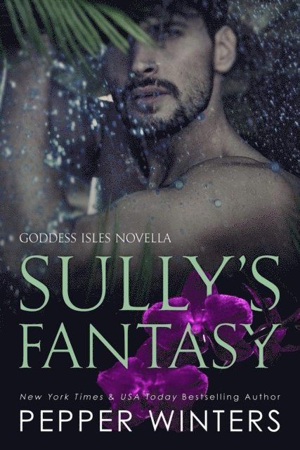 Pepper Winters - Sully's Fantasy, E-bok