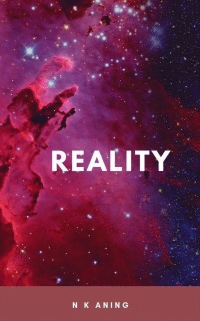 N.K. Aning - Reality, E-bok