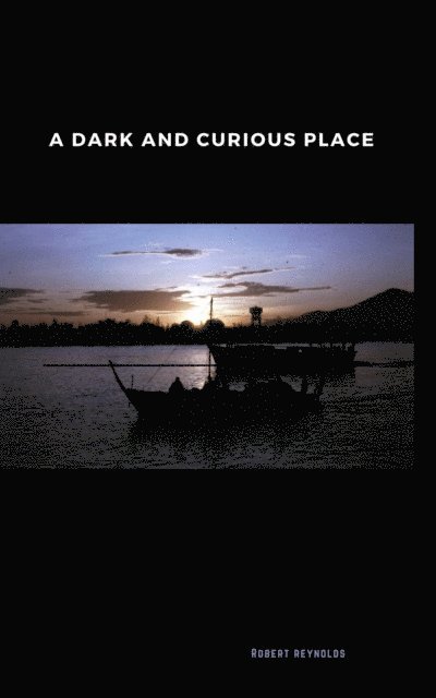 Robert Reynolds - Dark and Curious Place, E-bok