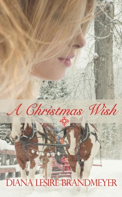 Diana Lesire Brandmeyer - Christmas Wish, E-bok