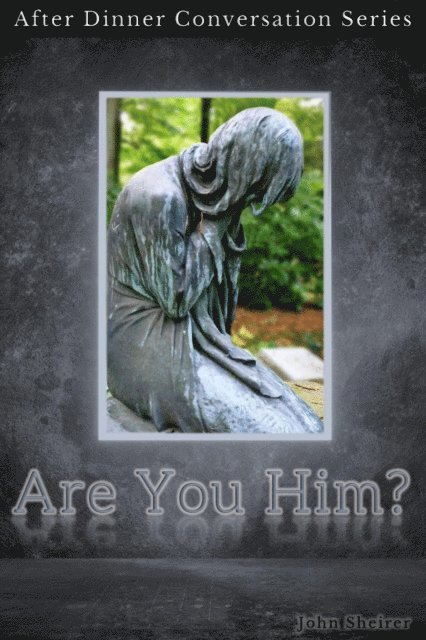 John Sheirer - Are You Him?, E-bok