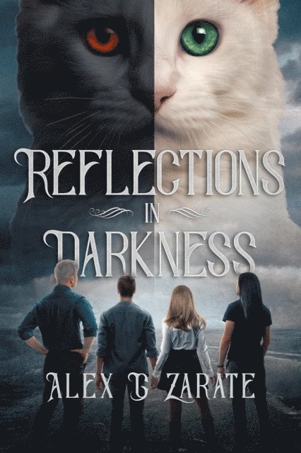 Alex G Zarate - Reflections In Darkness, E-bok