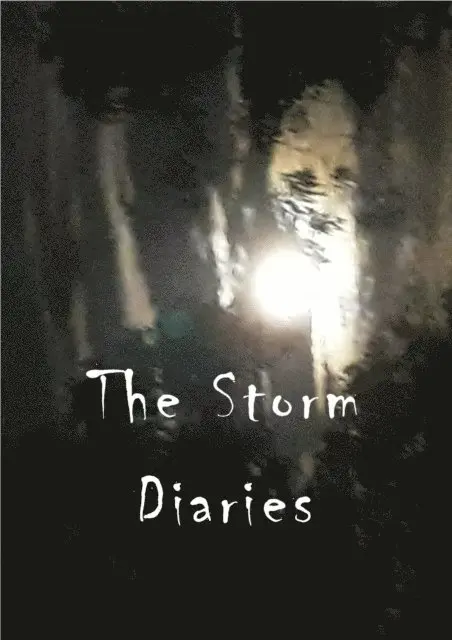 The Storyverse World, william stone greenhill - Storm Diaries, E-bok. Tillgänglighet: Lägg i varukorg