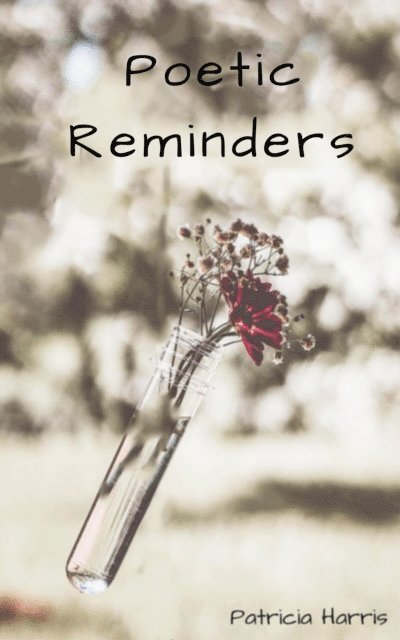 Patricia Harris - Poetic Reminders, E-bok