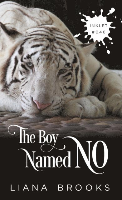 Liana Brooks - Boy Named No, E-bok