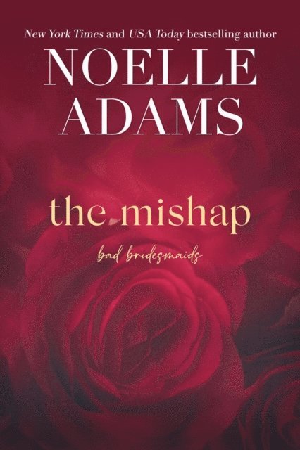Noelle Adams - Mishap, E-bok
