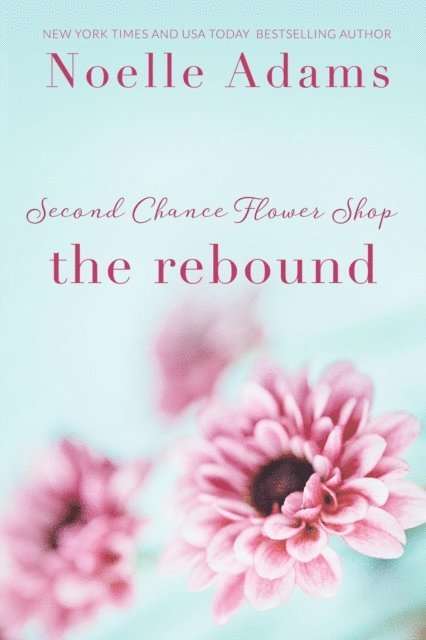 Noelle Adams - Rebound, E-bok