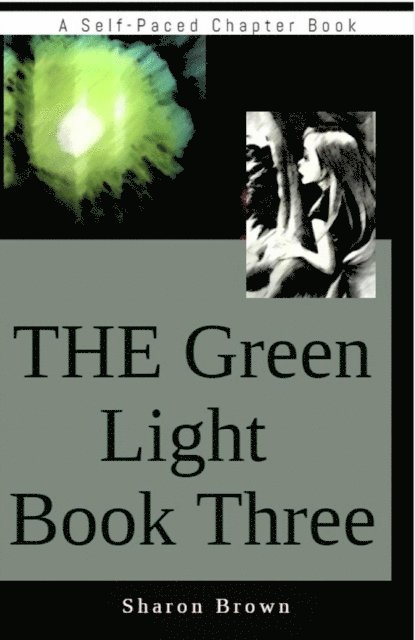 Sharon Brown - Green Light Book Three, E-bok