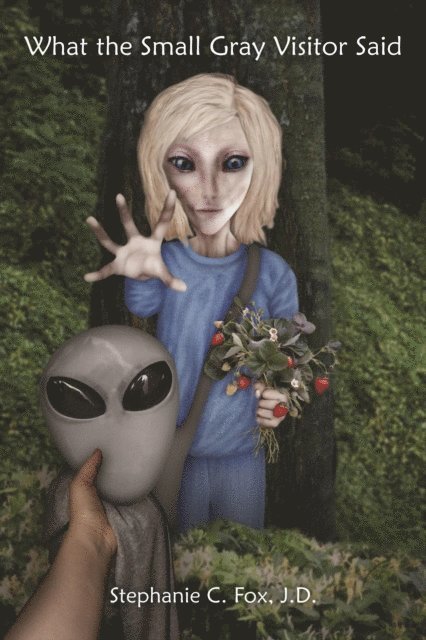 Stephanie C. Fox - What the Small Gray Visitor Said, E-bok