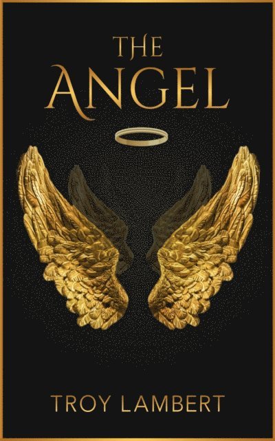 Troy Lambert - Angel, E-bok