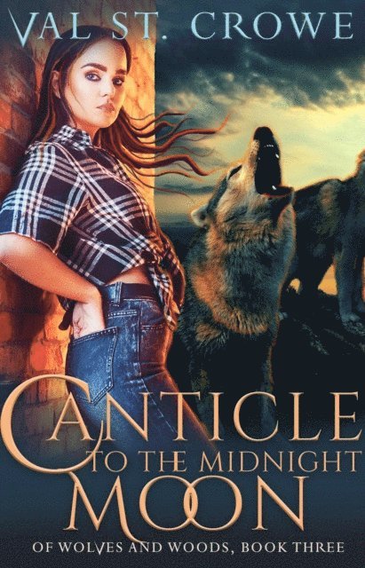Val St. Crowe - Canticle to the Midnight Moon, E-bok