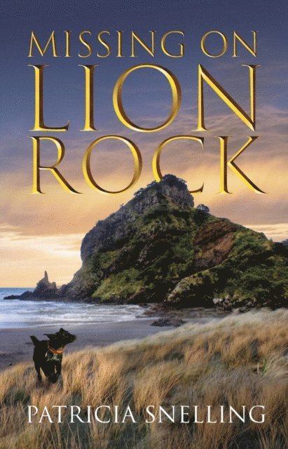Patricia Snelling - Missing On Lion Rock, E-bok. Tillgänglighet: Lägg i varukorg