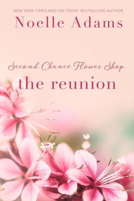 Noelle Adams - Reunion, E-bok