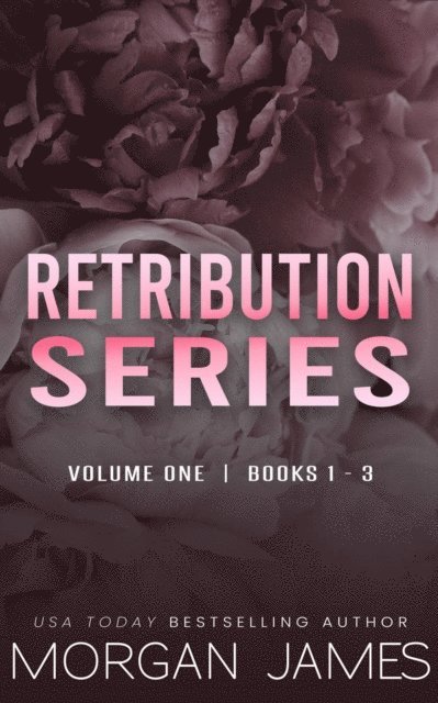 Morgan James - Retribution Series Box Set 1, E-bok