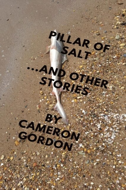 Cameron Gordon - Pillar of Salt (and Other Stories), E-bok