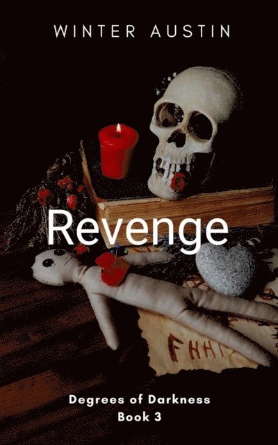 Winter Austin - Revenge, E-bok