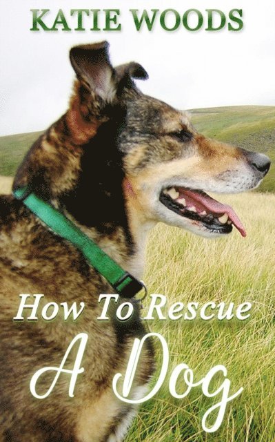 Katie Woods - How To Rescue A Dog, E-bok