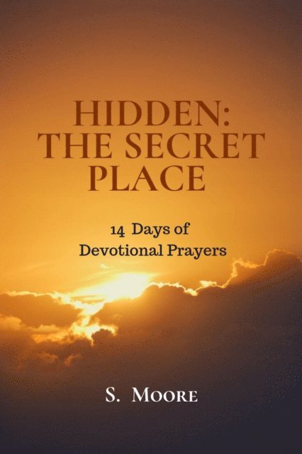S. Moore - Hidden: The Secret Place, E-bok