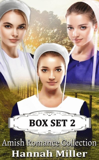 Hannah Miller - Amish Romance Collection Box Set 2, E-bok