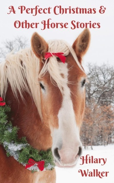 Hilary Walker - Perfect Christmas & Other Horse Stories, E-bok