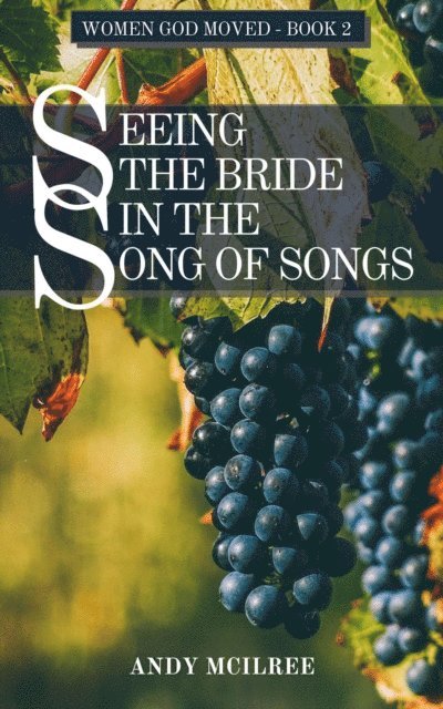 Andy McIlree - Seeing the Bride in the Song of Songs, E-bok