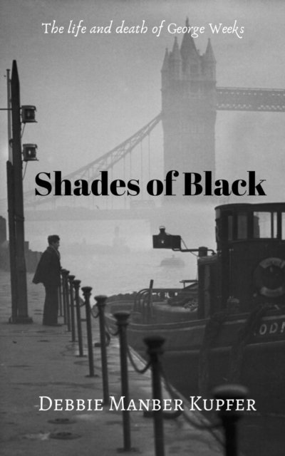 Debbie Manber Kupfer - Shades of Black, E-bok