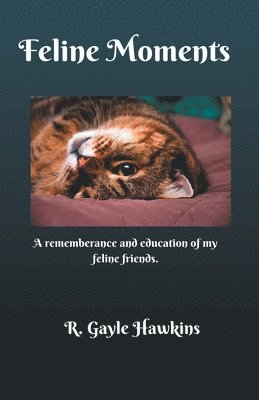 R Gayle Hawkins - Feline Moments, Häftad. Tillgänglighet: Lägg i varukorg