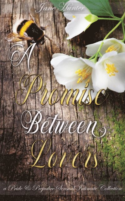 Victoria Newton, Susannah Barton, Jane Hunter - Promise Between Lovers: A Pride and Prejudice Sensual Intimate Collection, E-bok