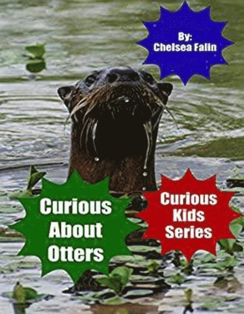 Chelsea Falin - Curious About Otters, E-bok. Tillgänglighet: Lägg i varukorg