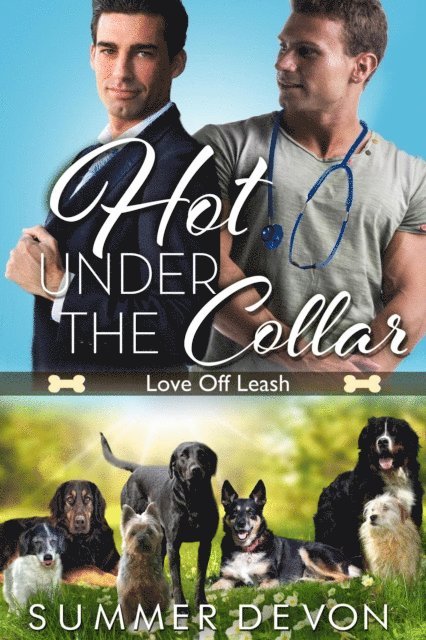 Summer Devon - Hot Under the Collar, E-bok