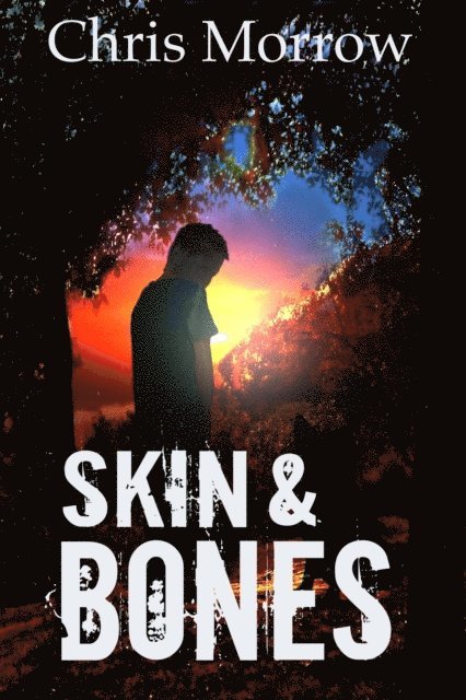 Chris Morrow - Skin & Bones, E-bok