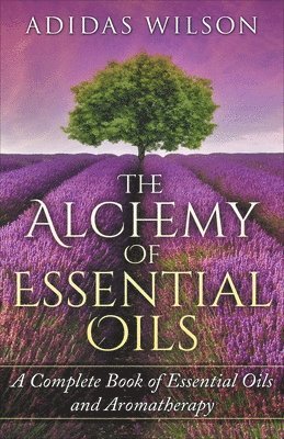 Adidas Wilson - Alchemy of Essential Oils - A Complete Book of Essential Oils and Aromatherapy, Häftad