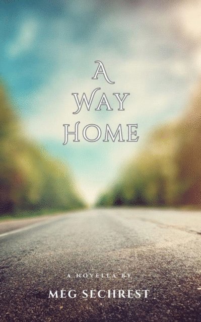 Meg Sechrest - Way Home, E-bok