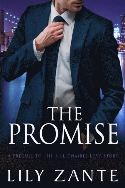 Lily Zante - Promise, E-bok