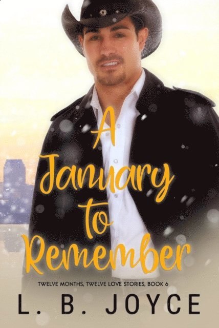 L. B. Joyce - January to Remember, E-bok