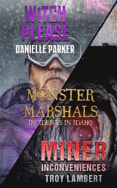 Danielle Parker, Troy Lambert - Incidents in Idaho, E-bok