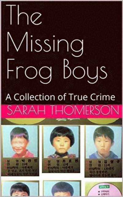 Sarah Thompson - Missing Frog Boys, E-bok