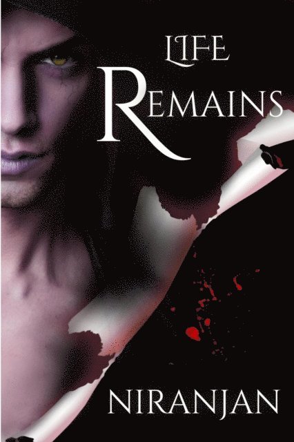 Niranjan - Life Remains, E-bok