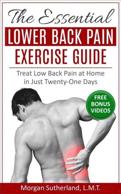 Essential Lower Back Pain Exercise Guide