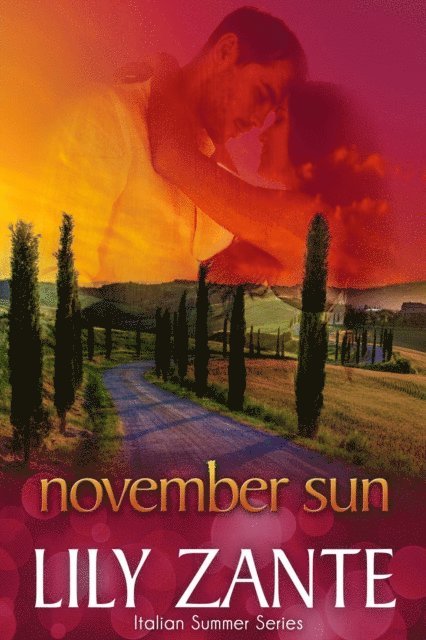 Lily Zante - November Sun, E-bok