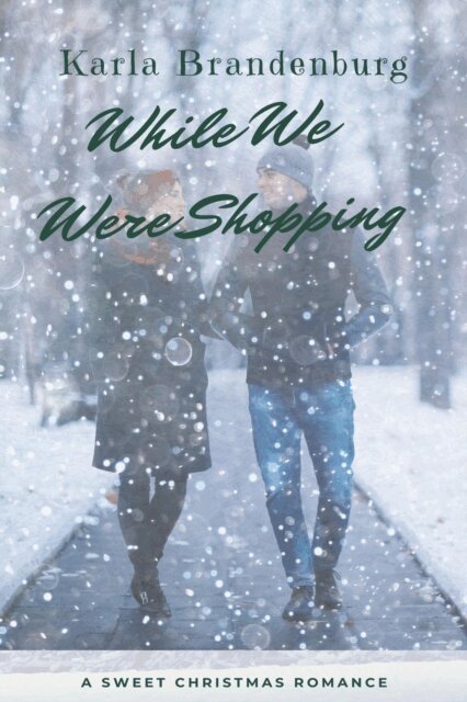 Karla Brandenburg - While We Were Shopping, E-bok