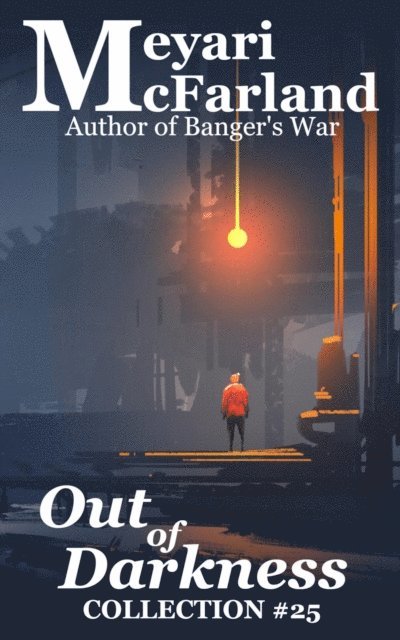 Meyari McFarland - Out of Darkness, E-bok