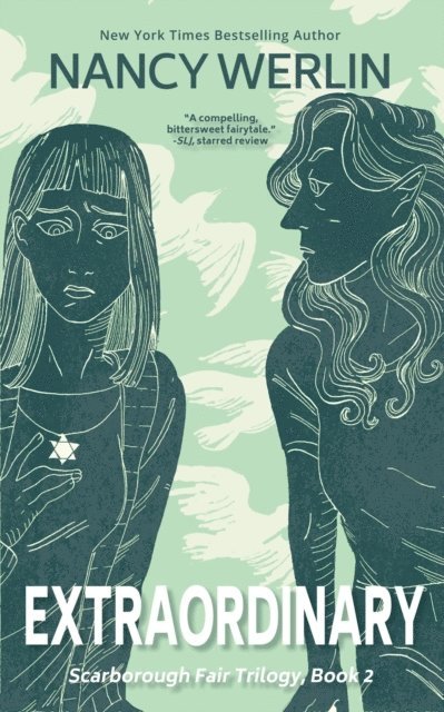 Nancy Werlin - Extraordinary, E-bok