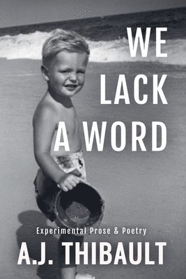 Aj Thibault - We Lack a Word, Häftad