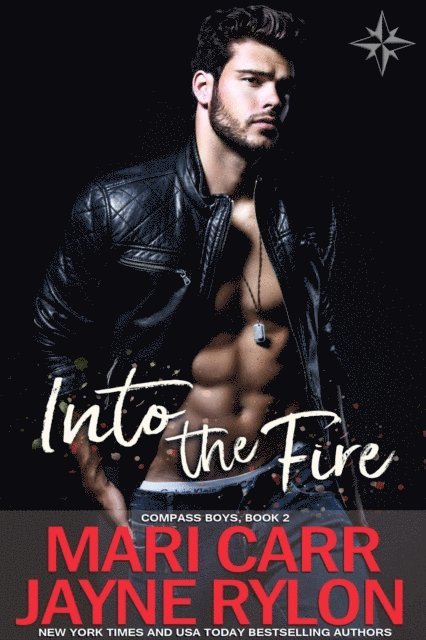 Mari Carr - Into the Fire, E-bok