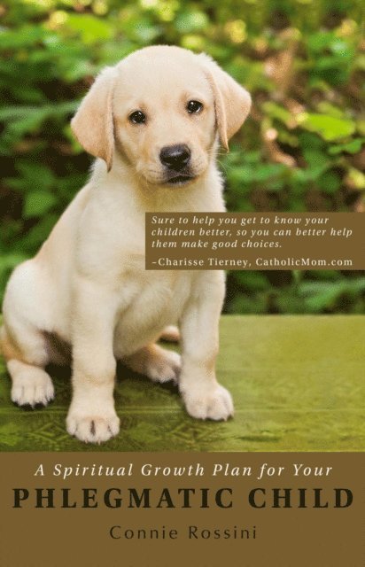 Connie Rossini - Spiritual Growth Plan for Your Phlegmatic Child, E-bok