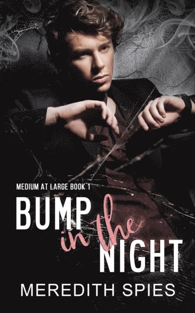 Meredith Spies - Bump in the Night, E-bok