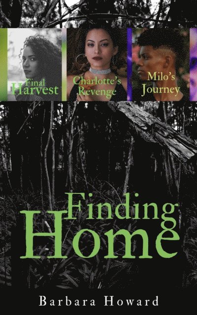 Barbara Howard - Finding Home Mystery Series, E-bok