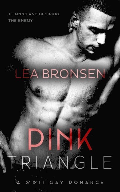 Lea Bronsen - Pink Triangle, E-bok