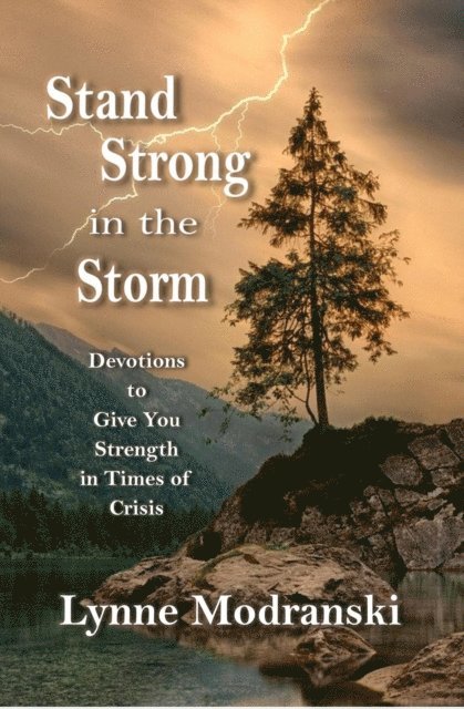 Lynne Modranski - Stand Strong in the Storm, E-bok
